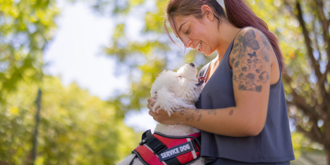 Person lovingly scratching their service dog behind the ears.